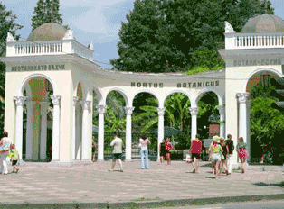 Сухумский ботанический сад Сухумский ботанический сад