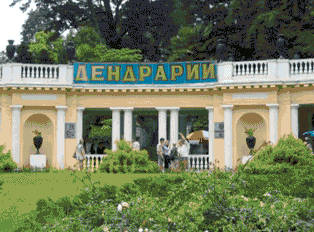 Сочи - отдых