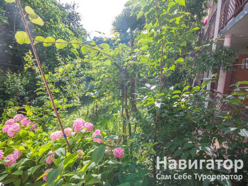 У МОРЯ - гостевой дом в Вардане У МОРЯ - гостевой дом в Вардане