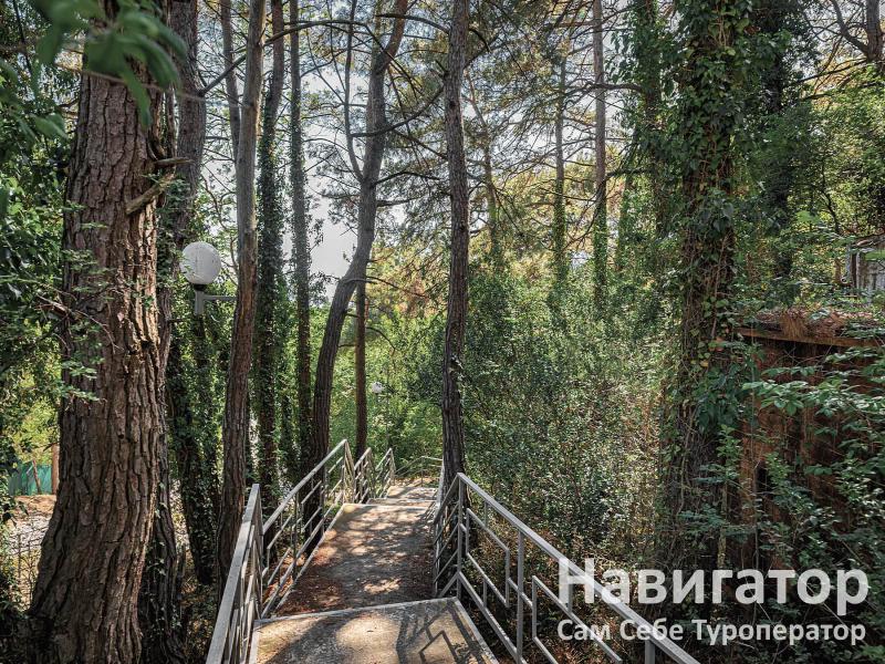 Сафоново - гостиница в Курортные поселки Геленджика Сафоново - гостиница в Курортные поселки Геленджика