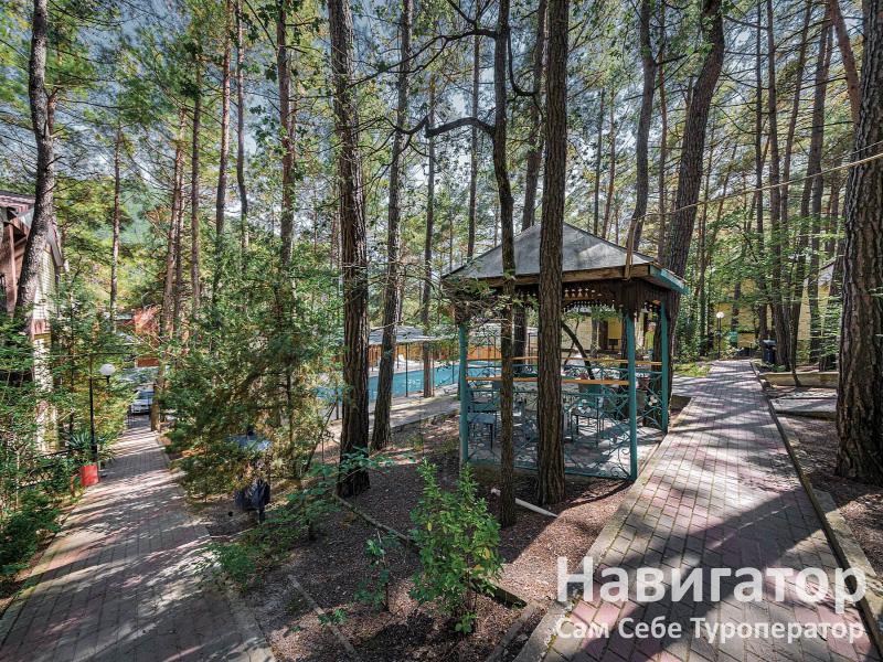 Сафоново - гостиница в Курортные поселки Геленджика Сафоново - гостиница в Курортные поселки Геленджика