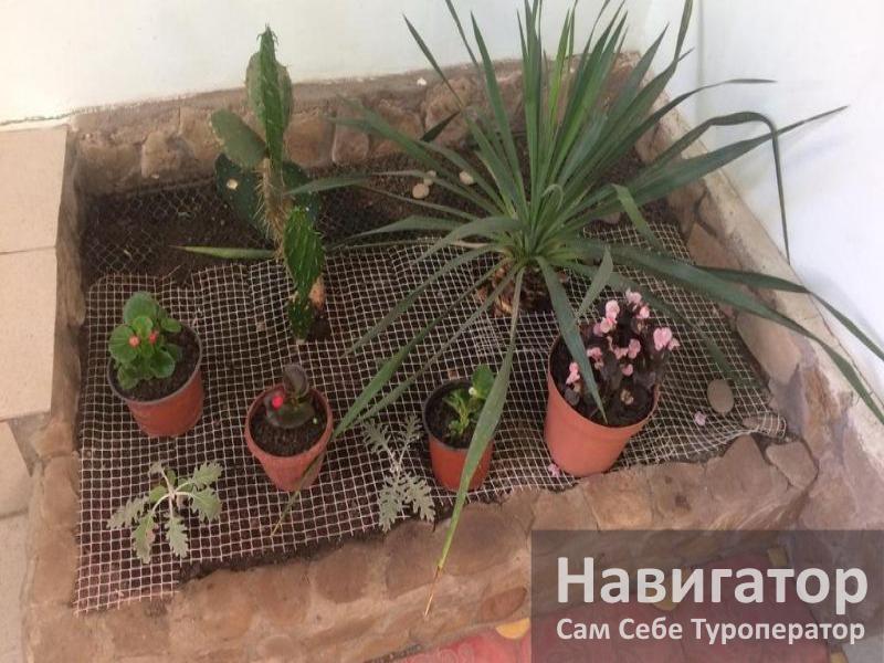 ВЕРОНА – гостевой дом в Адлер ВЕРОНА – гостевой дом в Адлер