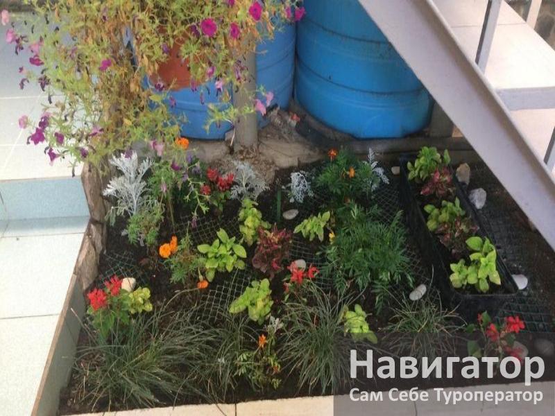 ВЕРОНА – гостевой дом в Адлер ВЕРОНА – гостевой дом в Адлер