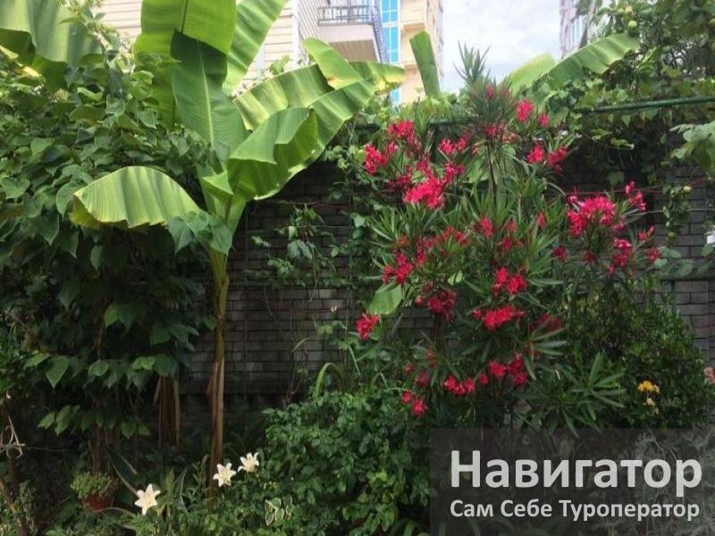 ВЕРОНА – гостевой дом в Адлер ВЕРОНА – гостевой дом в Адлер