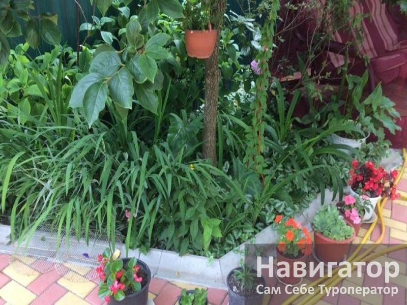 ВЕРОНА – гостевой дом в Адлер ВЕРОНА – гостевой дом в Адлер