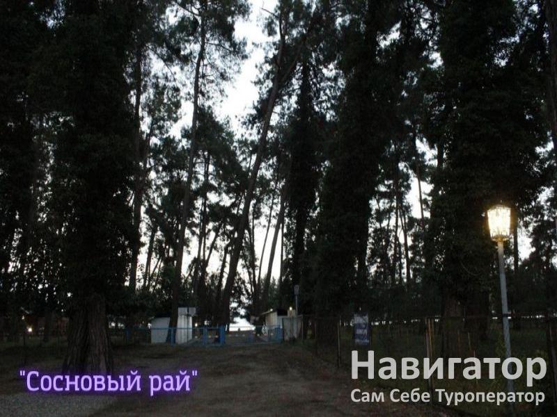 СОСНОВЫЙ РАЙ - гостиница в Пицунда СОСНОВЫЙ РАЙ - гостиница в Пицунда