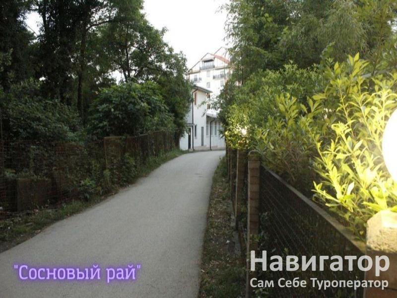 СОСНОВЫЙ РАЙ - гостиница в Пицунда СОСНОВЫЙ РАЙ - гостиница в Пицунда