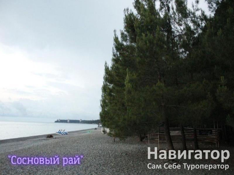 СОСНОВЫЙ РАЙ - гостиница в Пицунда СОСНОВЫЙ РАЙ - гостиница в Пицунда