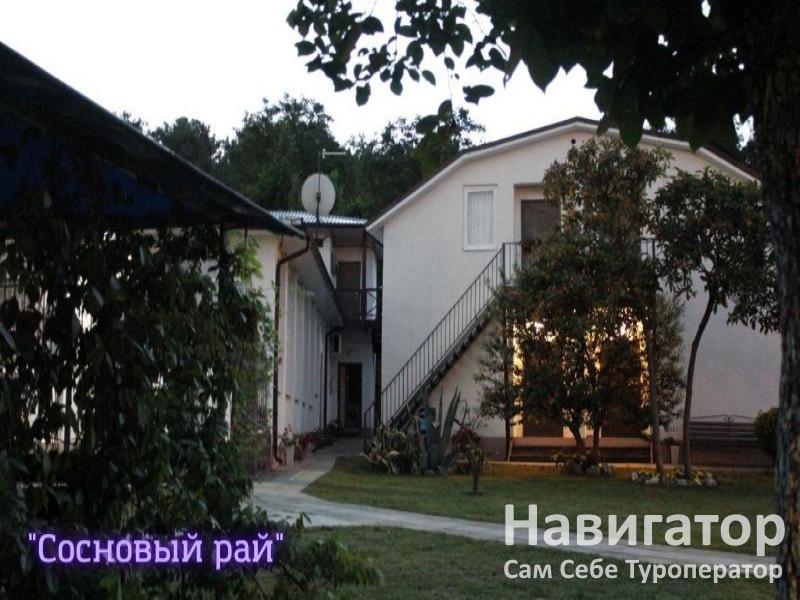 СОСНОВЫЙ РАЙ - гостиница в Пицунда СОСНОВЫЙ РАЙ - гостиница в Пицунда