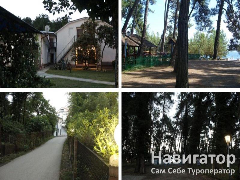 СОСНОВЫЙ РАЙ - гостиница в Пицунда СОСНОВЫЙ РАЙ - гостиница в Пицунда