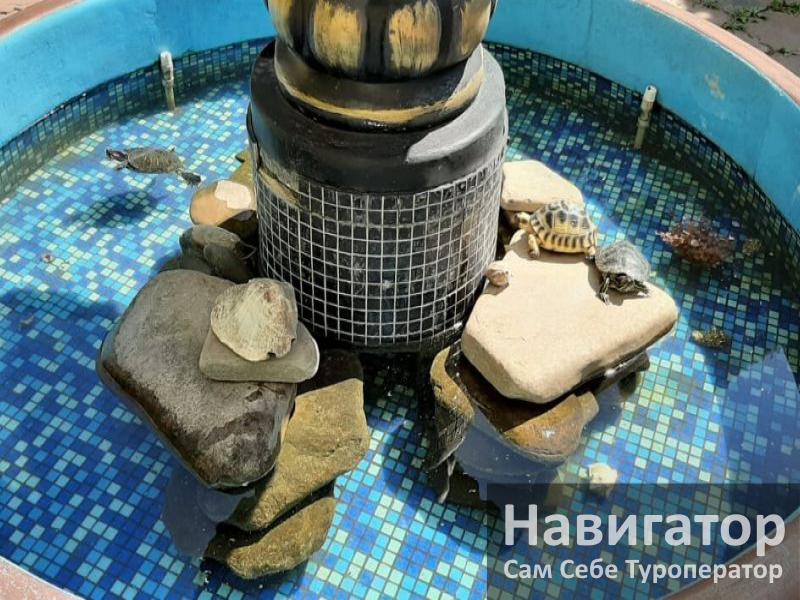 РАФАЭЛЬ - гостевой дом в Адлер РАФАЭЛЬ - гостевой дом в Адлер