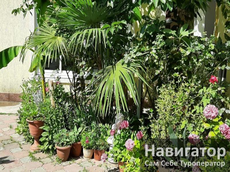 РАФАЭЛЬ - гостевой дом в Адлер РАФАЭЛЬ - гостевой дом в Адлер