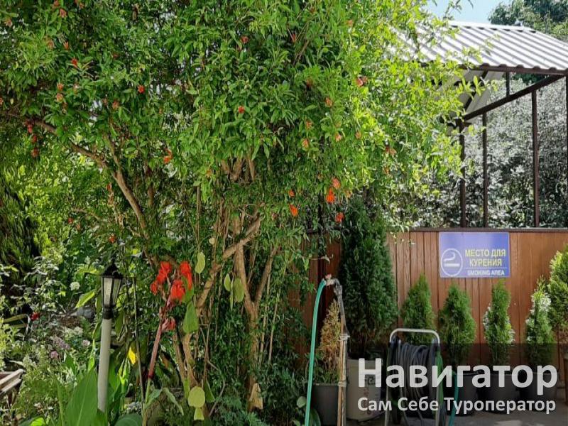 РАФАЭЛЬ - гостевой дом в Адлер РАФАЭЛЬ - гостевой дом в Адлер