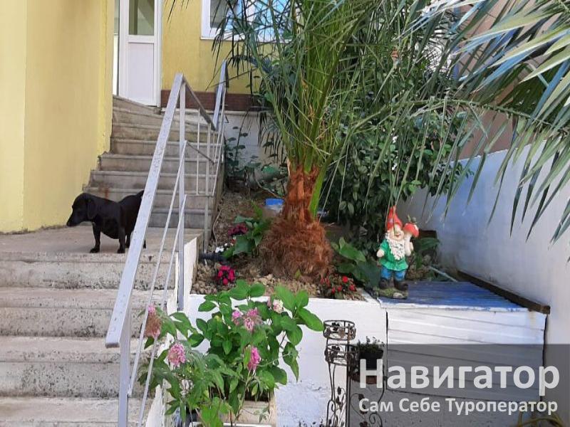 РАФАЭЛЬ - гостевой дом в Адлер РАФАЭЛЬ - гостевой дом в Адлер