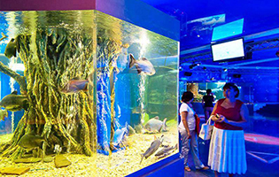 Океанариум Ocean Park