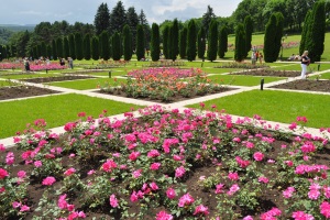 Долина Роз в Кисловодске