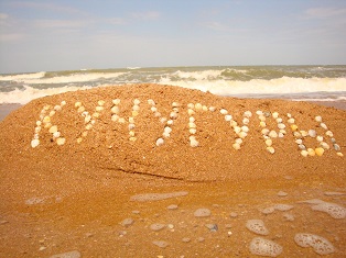 Голубицкая