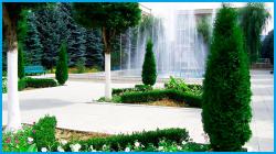 Санаторий «Голубые ели»